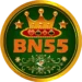 BN55 Game